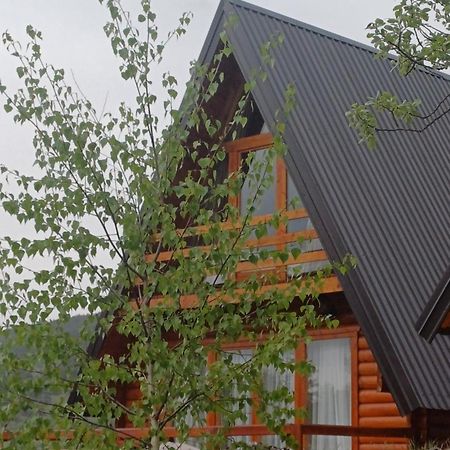 Villa Wood Borje Žabljak Екстериор снимка